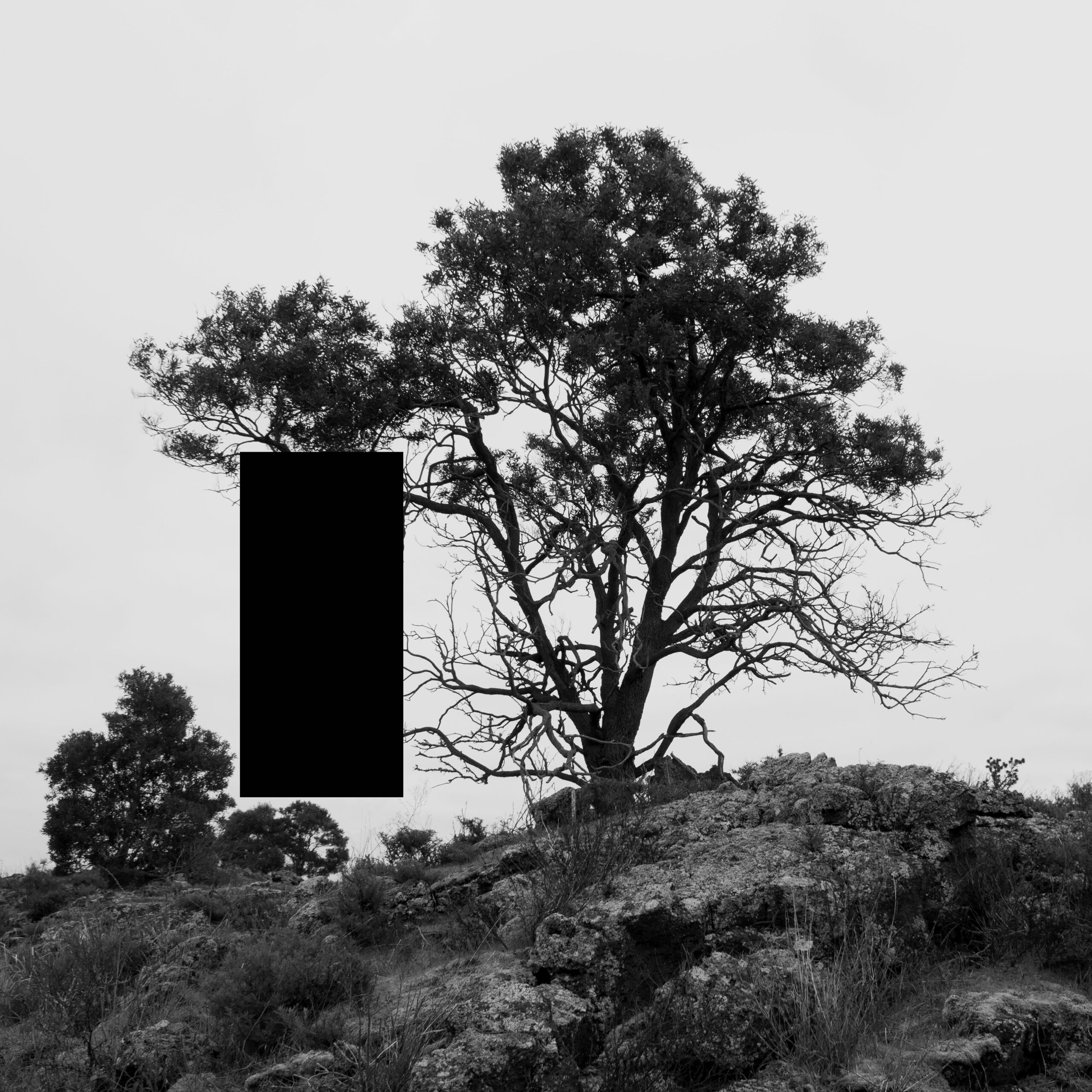 Removed Scenes From an Untouched Landscape 4, Inkjet print on hahnemuhle paper with hole removed to a black velvet void, 50x50cm